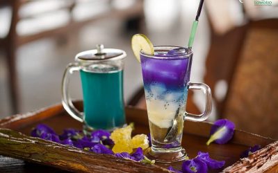 Minuman Bunga Telang